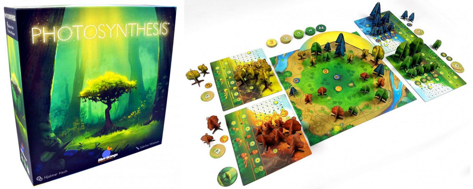 Photosynthesis Photosynthesis