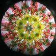 101358 Kaleidoszkóp 19 cm
